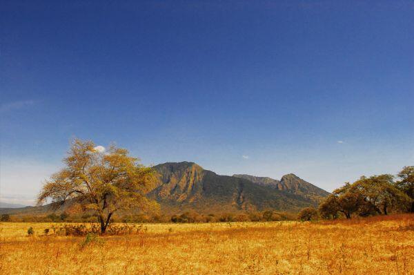 Contoh Teks Observasi Taman Nasional Baluran Contoh Rumah