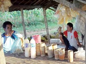 Budaya Minum Tuak di Bumi Ranggalawe