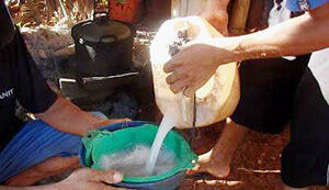 Budaya Minum Tuak di Bumi Ranggalawe