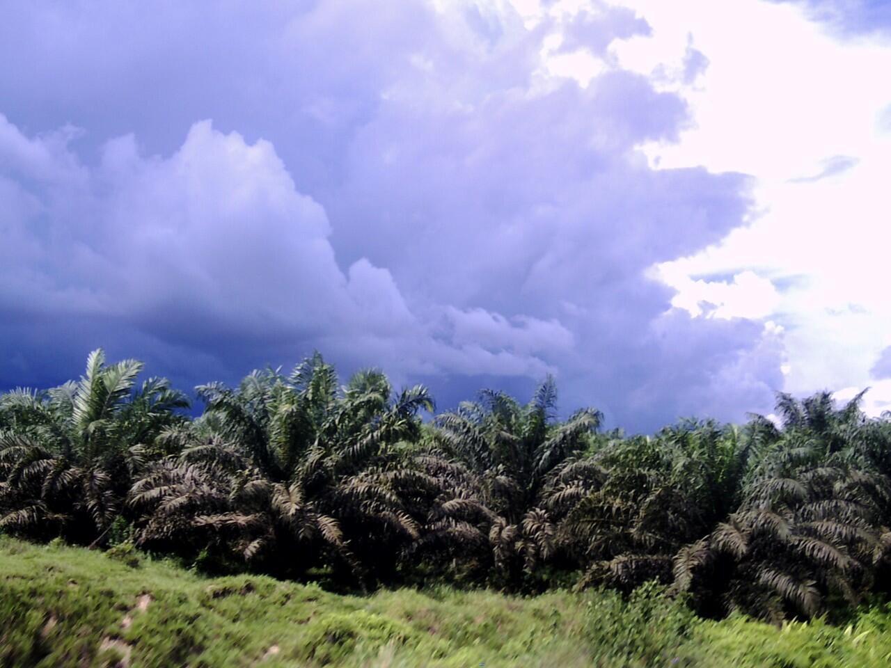 kamera 3 MP juga bisa bkin foto unik gan 