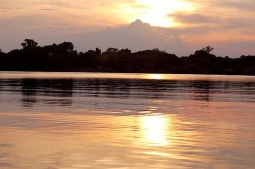 Pemandangan Hutan Hujan Amazon yang Menakjubkan