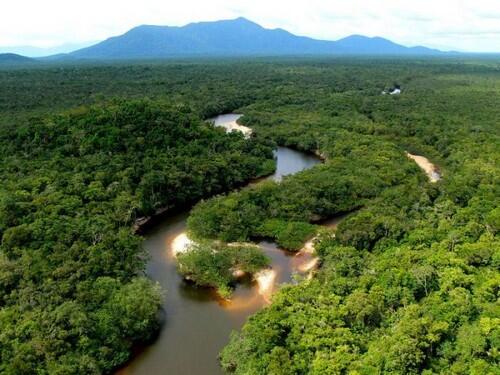 Pemandangan Hutan Hujan Amazon yang Menakjubkan