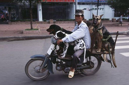 Sepeda Motor Angkutan Serba Guna !!!! Ngakak inside