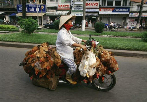 Sepeda Motor Angkutan Serba Guna !!!! Ngakak inside