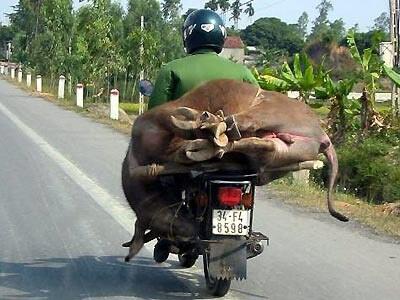 Sepeda Motor Angkutan Serba Guna !!!! Ngakak inside