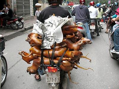 Sepeda Motor Angkutan Serba Guna !!!! Ngakak inside