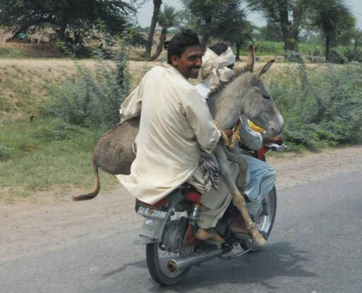 Sepeda Motor Angkutan Serba Guna !!!! Ngakak inside