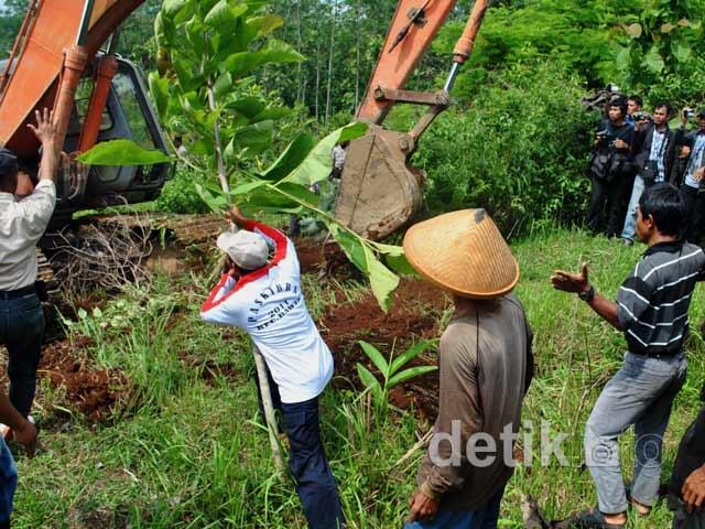 SEMARANG-SOLO MASUP GAN