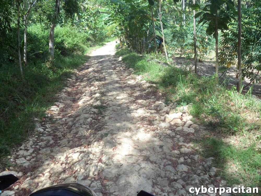 PANTAI BUYUTAN PACITAN, Keren abis gan, di jamin nyesel kalo gak mampir