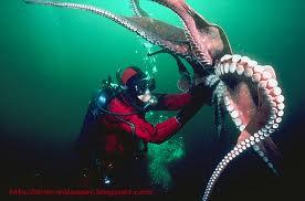 Binatang Laut Paling Aneh di Dunia (+Pict)