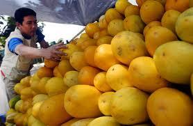 Buah-Buahan Terbaik Untuk Bulan Ramadhan