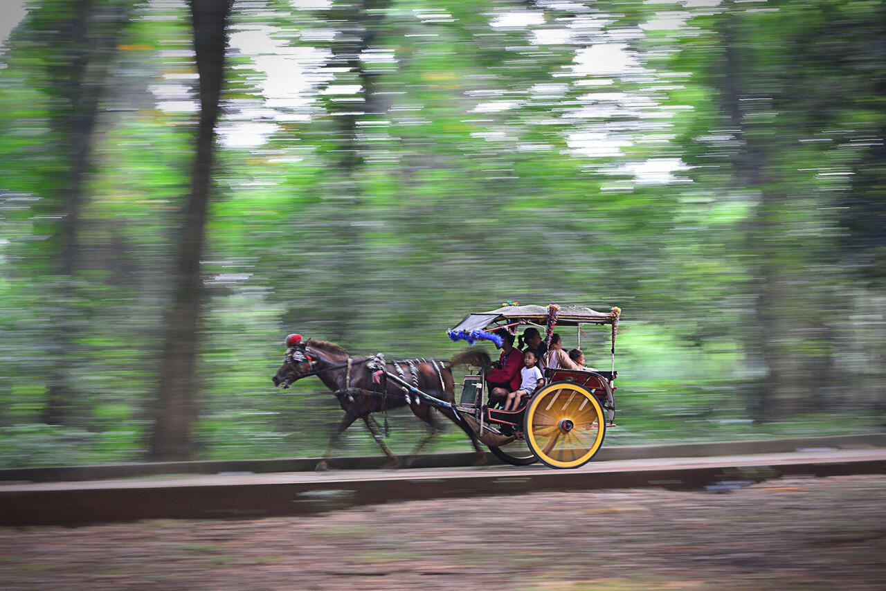 Foto Panning