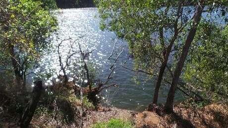 Danau Rum Jungle