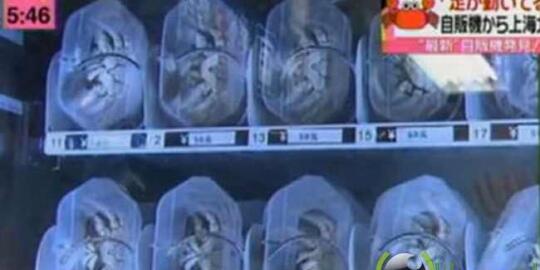  5 Hal aneh yang bisa dibeli di China 