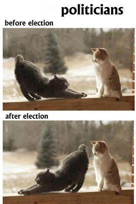 POLITIKUS, BEFORE &amp; AFTER ELECTION !!!