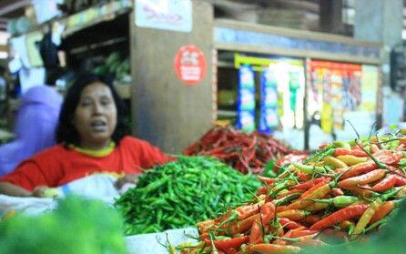 Daging Sapi Impor, Cabai Impor, Bawang merah ikut-ikutan IMPOR