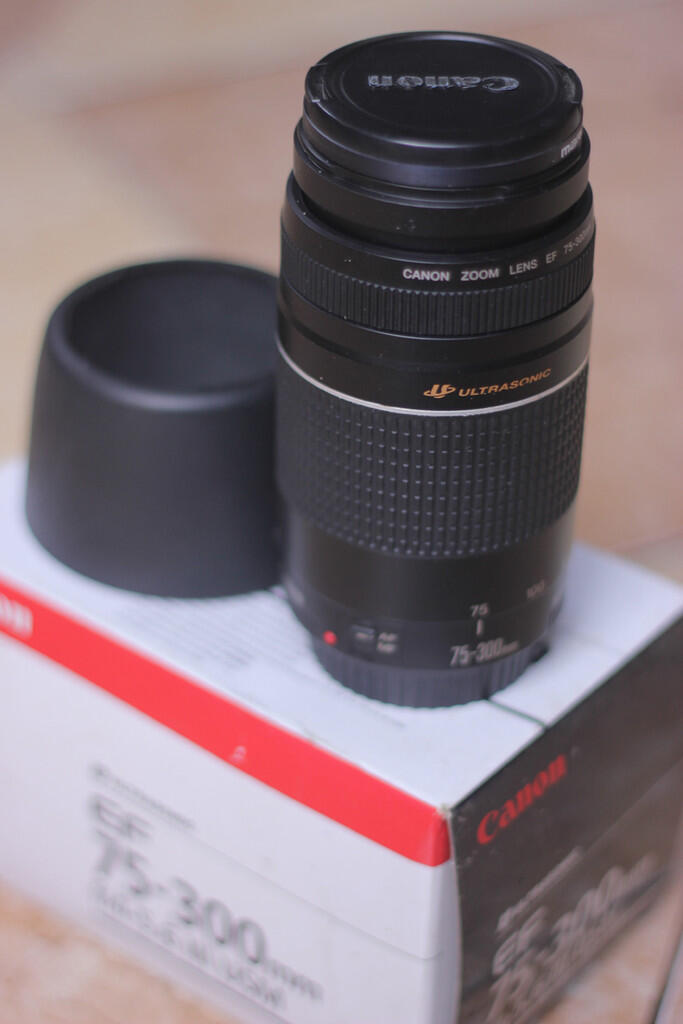 eos 550 d