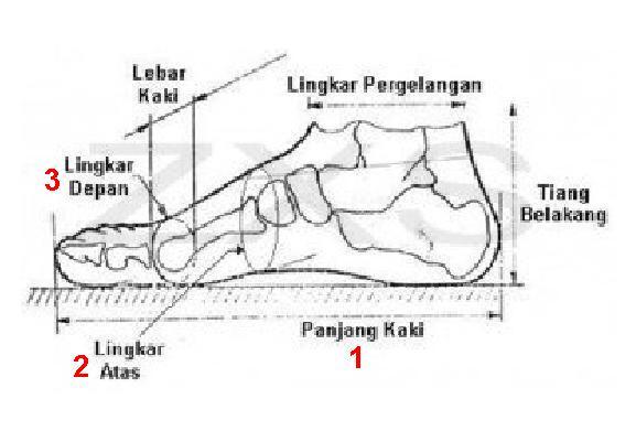 Cara Mengukur Sepatu Biar Pas Dengan Ukuran Kaki Agan