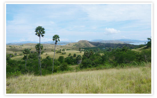 KEREN::FOTO2 liburan GWYNETH PALTROW di INDONESIA