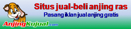 Jasa pengiriman hewan kesayangan seluruh Indonesia (dijamin murah)