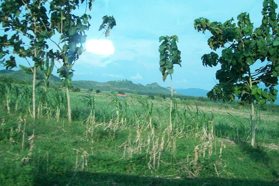 &#91;PIC&#93; Homestay + Stady Wisata Ke Dieng &amp; Jogja