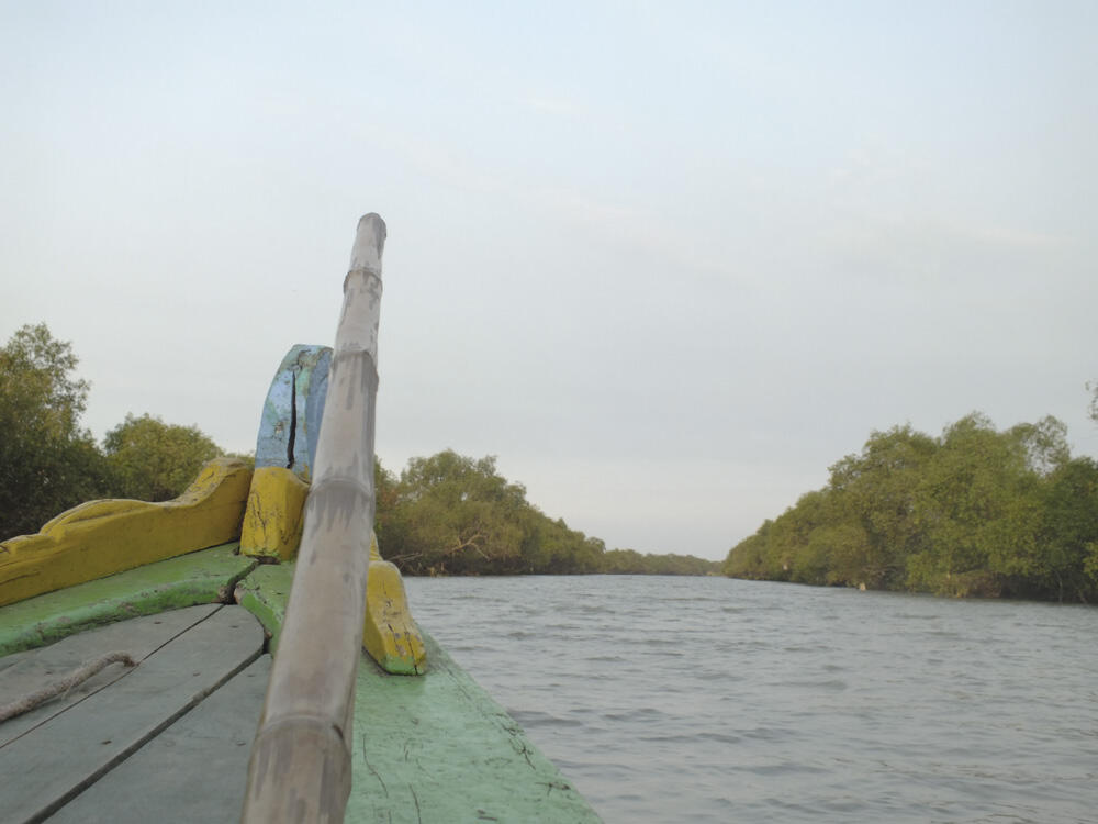 &#91;PUISI WISATA&#93; Pada Rimbun Bakau dan Langit Biru