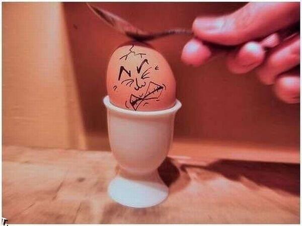 Kreasi-kreasi Unik dari Sebuah Telur