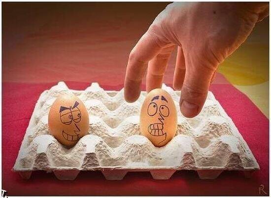 Kreasi-kreasi Unik dari Sebuah Telur