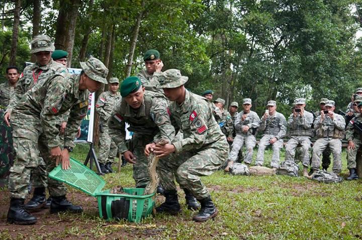 Tentara amrik latihan Jungle Survival di indonesia (pic)