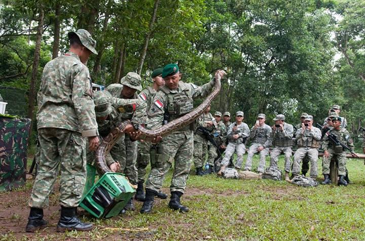 Tentara amrik latihan Jungle Survival di indonesia (pic)