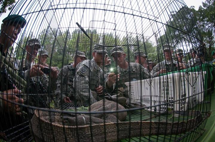 Tentara amrik latihan Jungle Survival di indonesia (pic)