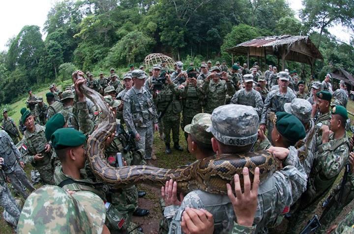 Tentara amrik latihan Jungle Survival di indonesia (pic)