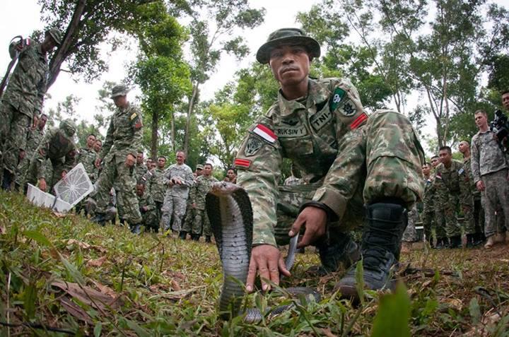 Tentara amrik latihan Jungle Survival di indonesia (pic)