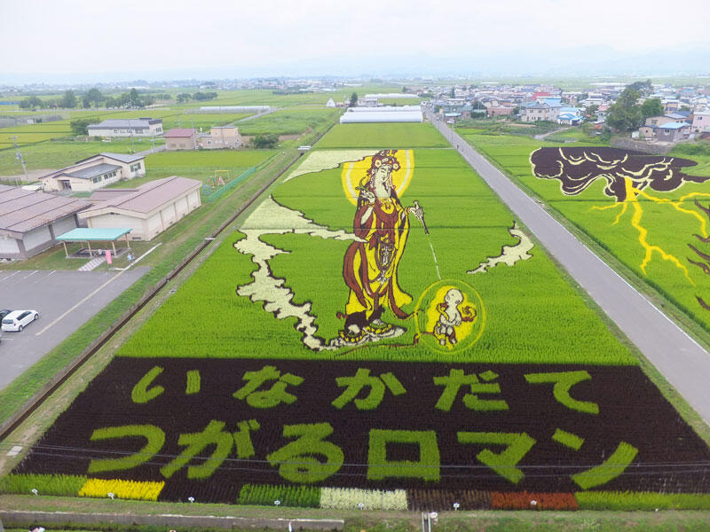 Tanbo Art, Seni Unik Melukis di Atas Sawah