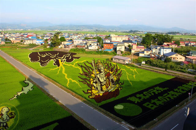 Tanbo Art, Seni Unik Melukis di Atas Sawah