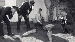10 Kasus Pembunuhan Yang Masih Misteri