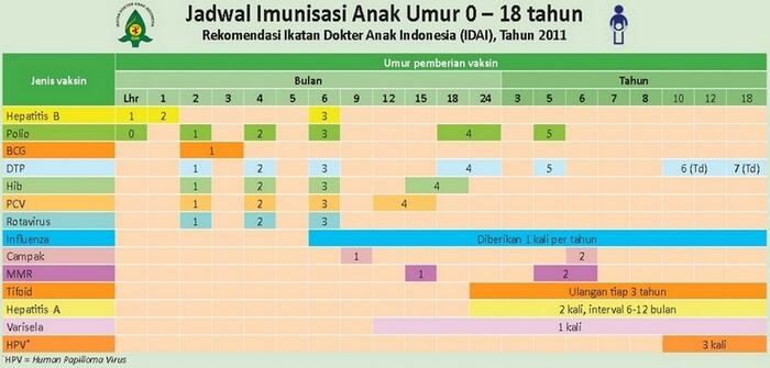 Jadwal Imunisasi Anak