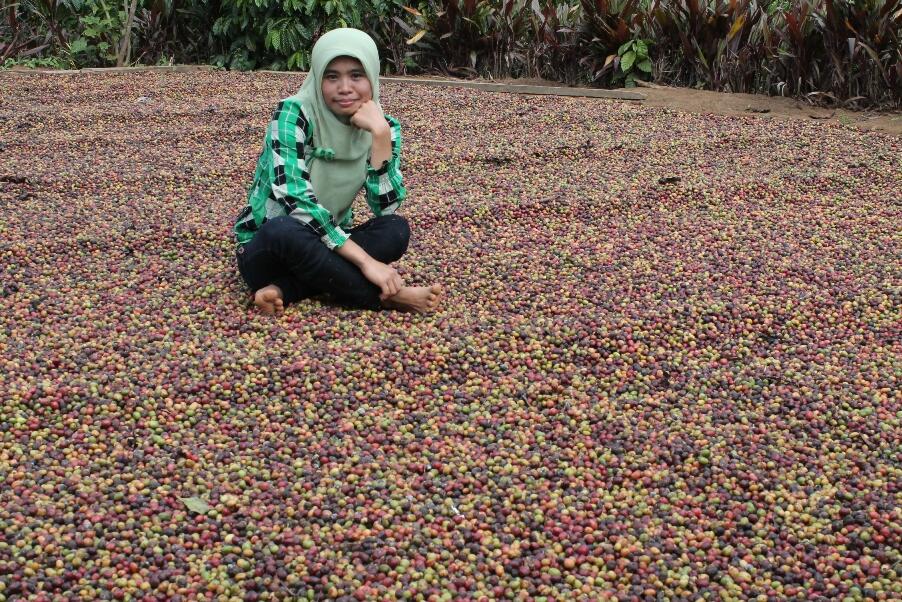 &#91;Catper&#93; Pesona Lain Dari Bengkulu