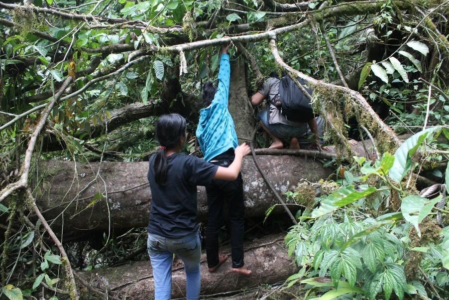 &#91;Catper&#93; Pesona Lain Dari Bengkulu