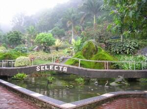Taman Selecta