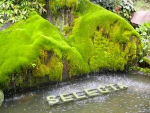 Taman Selecta