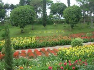 Taman Selecta
