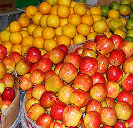 Taman Selecta
