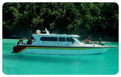 &#91;FOTO-FOTO&#93; Pesona Timur Indonesia di Raja Ampat