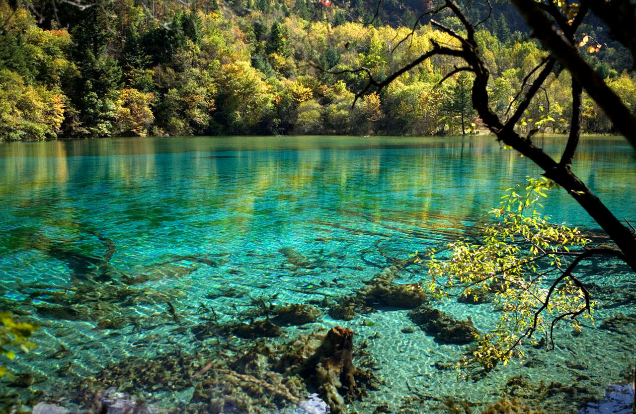 Danau Terindah, Five Flower Lake-Jiuzhaigou Valley China