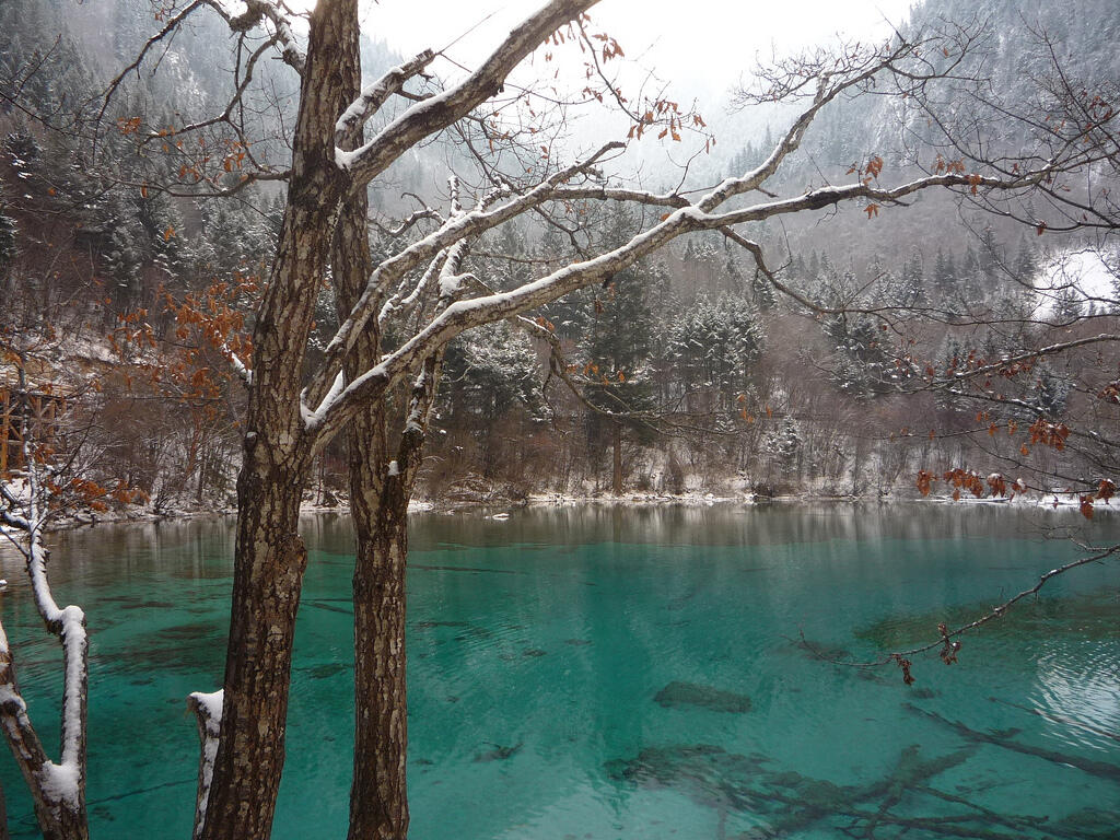 Danau Terindah, Five Flower Lake-Jiuzhaigou Valley China