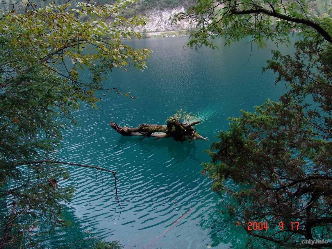 Danau Terindah, Five Flower Lake-Jiuzhaigou Valley China