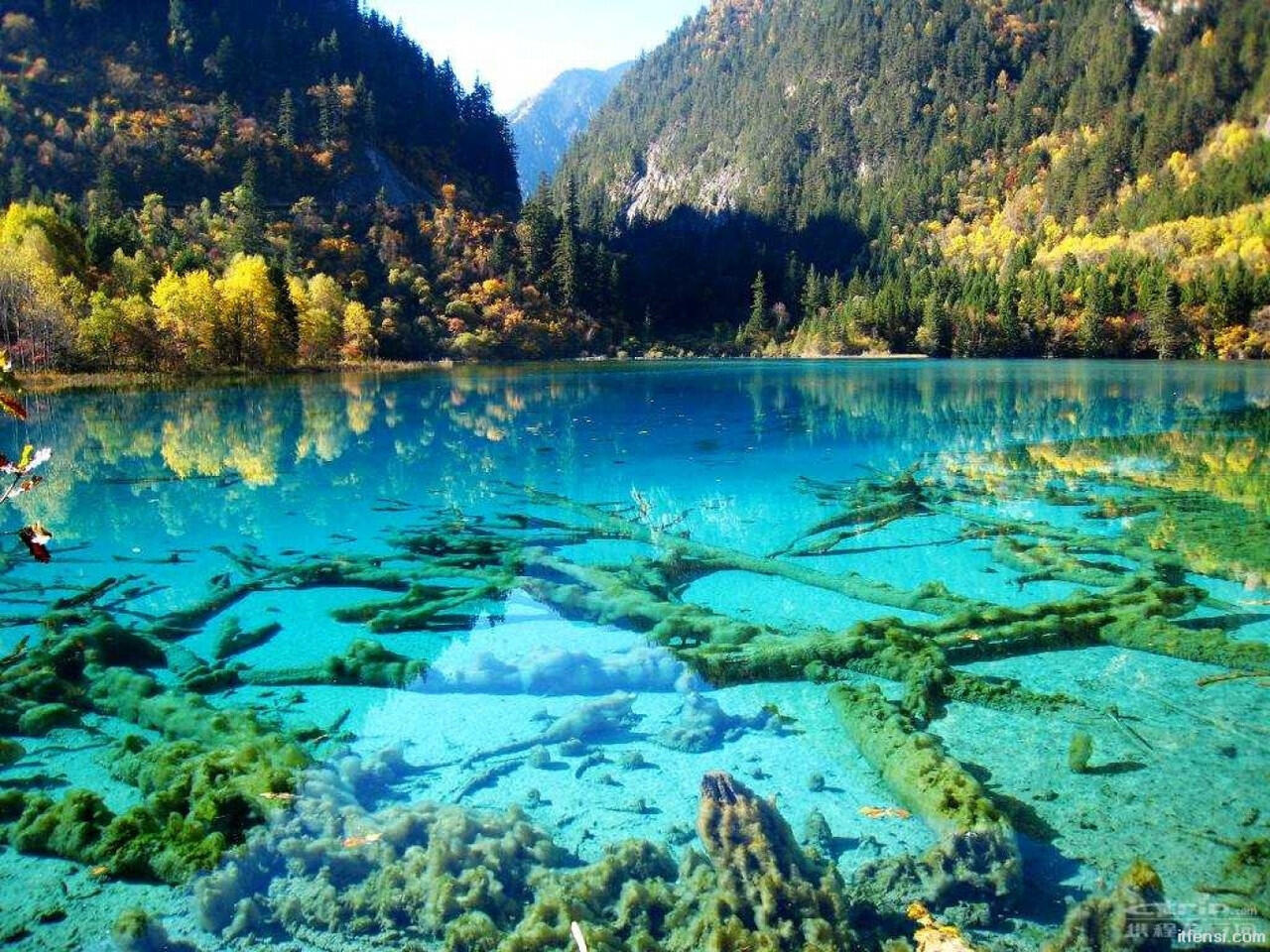 Danau Terindah, Five Flower Lake-Jiuzhaigou Valley China