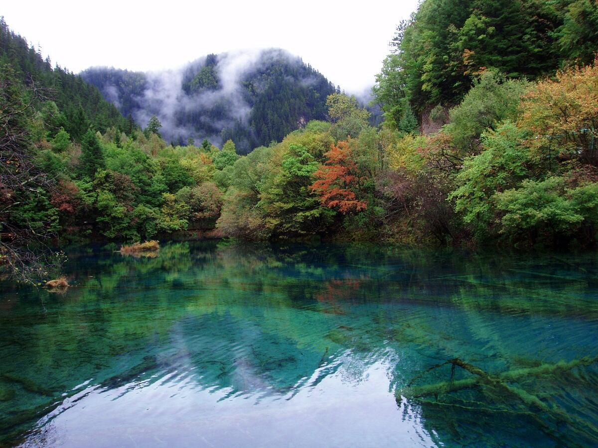 Danau Terindah, Five Flower Lake-Jiuzhaigou Valley China