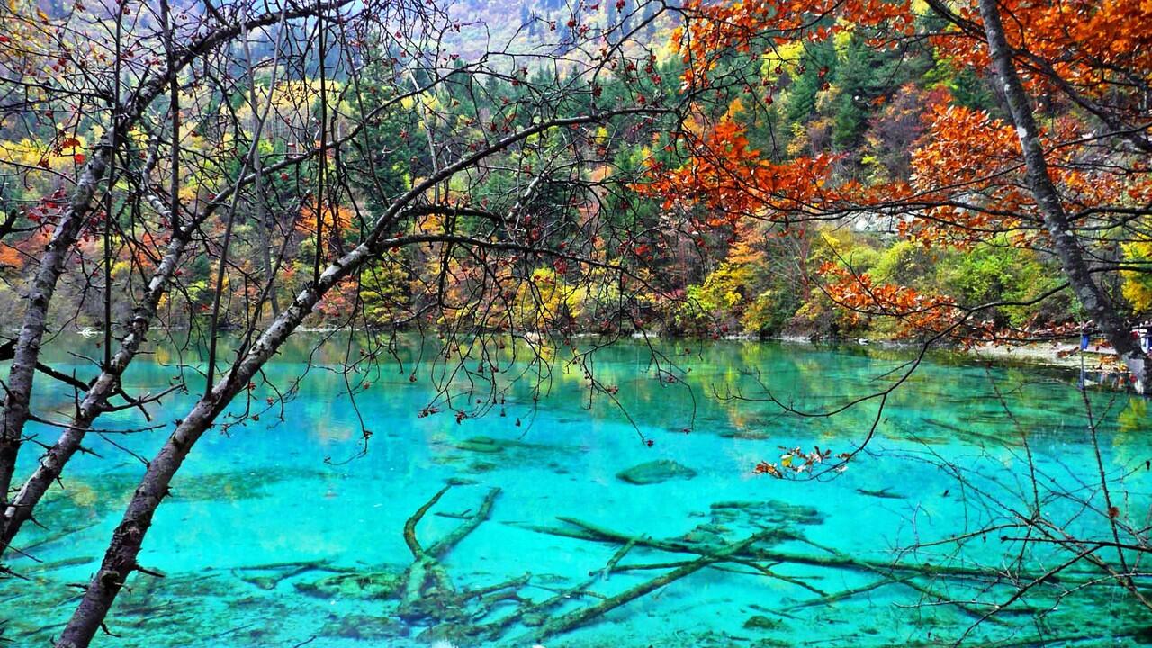 Danau Terindah, Five Flower Lake-Jiuzhaigou Valley China